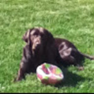 Meet your Posher, Shayla